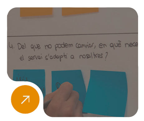 Participació ciutadana
